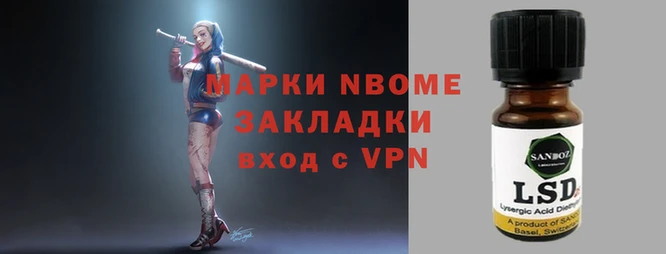 стафф Алзамай