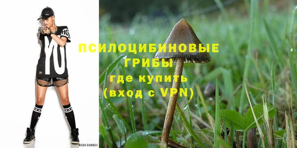 ALPHA PVP Алексеевка