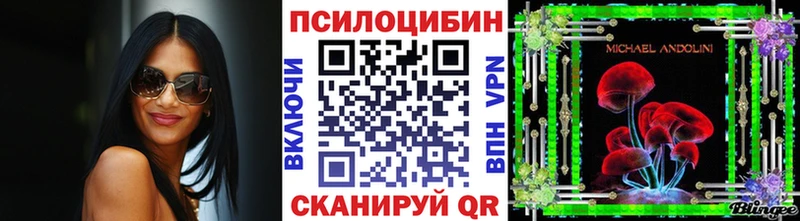 MEGA tor  Николаевск-на-Амуре  Псилоцибиновые грибы Psilocybe 